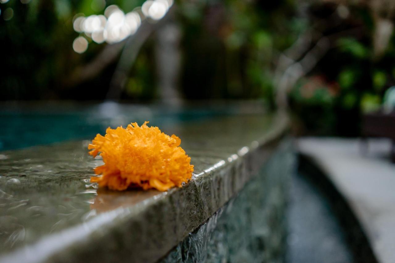 D'Bale Ananda Ubud Villa Exteriör bild